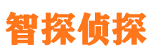 拜城侦探公司